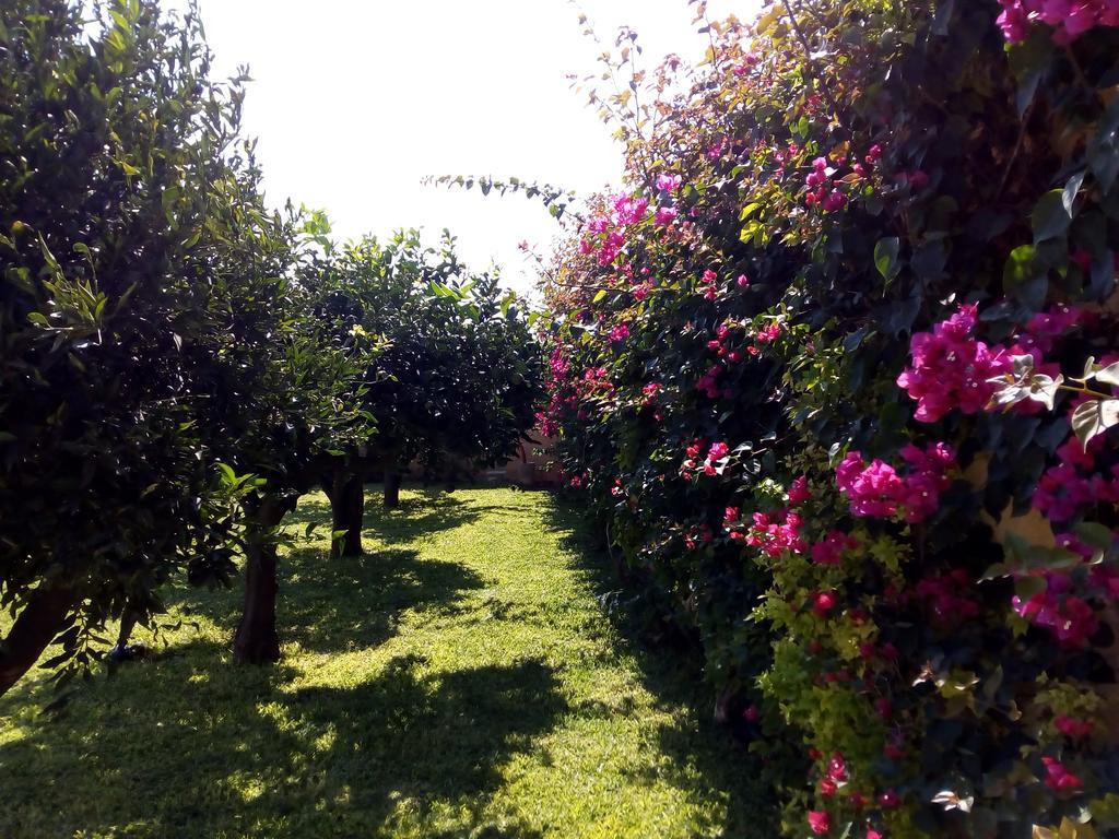 Baglio Olivastro Bed & Breakfast Digerbato Exterior foto